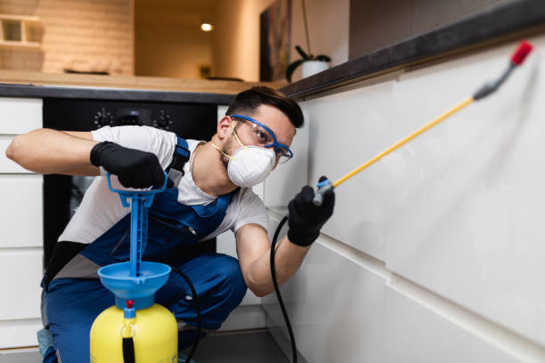 Best Emergency Pest Control  in Richton, MS