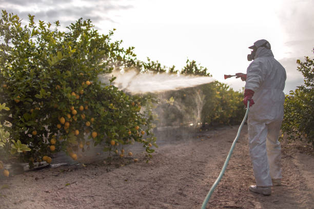 Pest Control Cost in Richton, MS