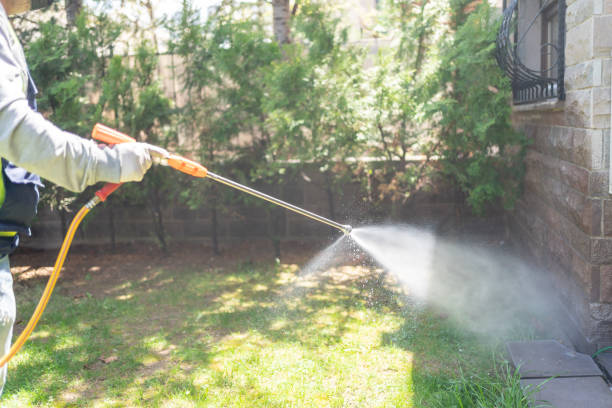 Best Local Pest Control Services  in Richton, MS
