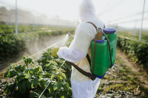 Best Pest Removal Services  in Richton, MS